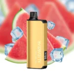 ALIBARBAR 9000 PUFFS (21 Flavors Collection) 2PCS - Image 10